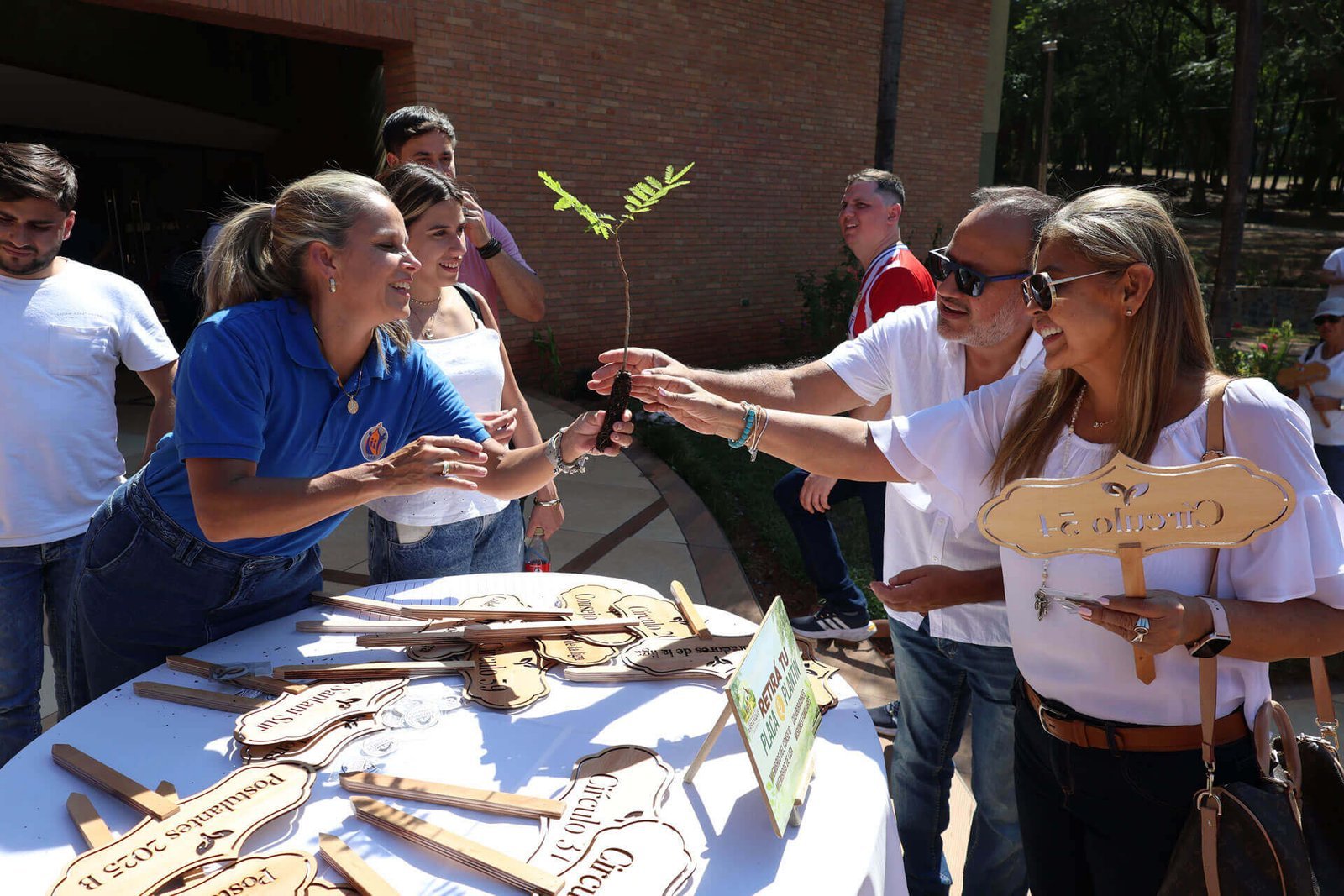 entrega de plantines