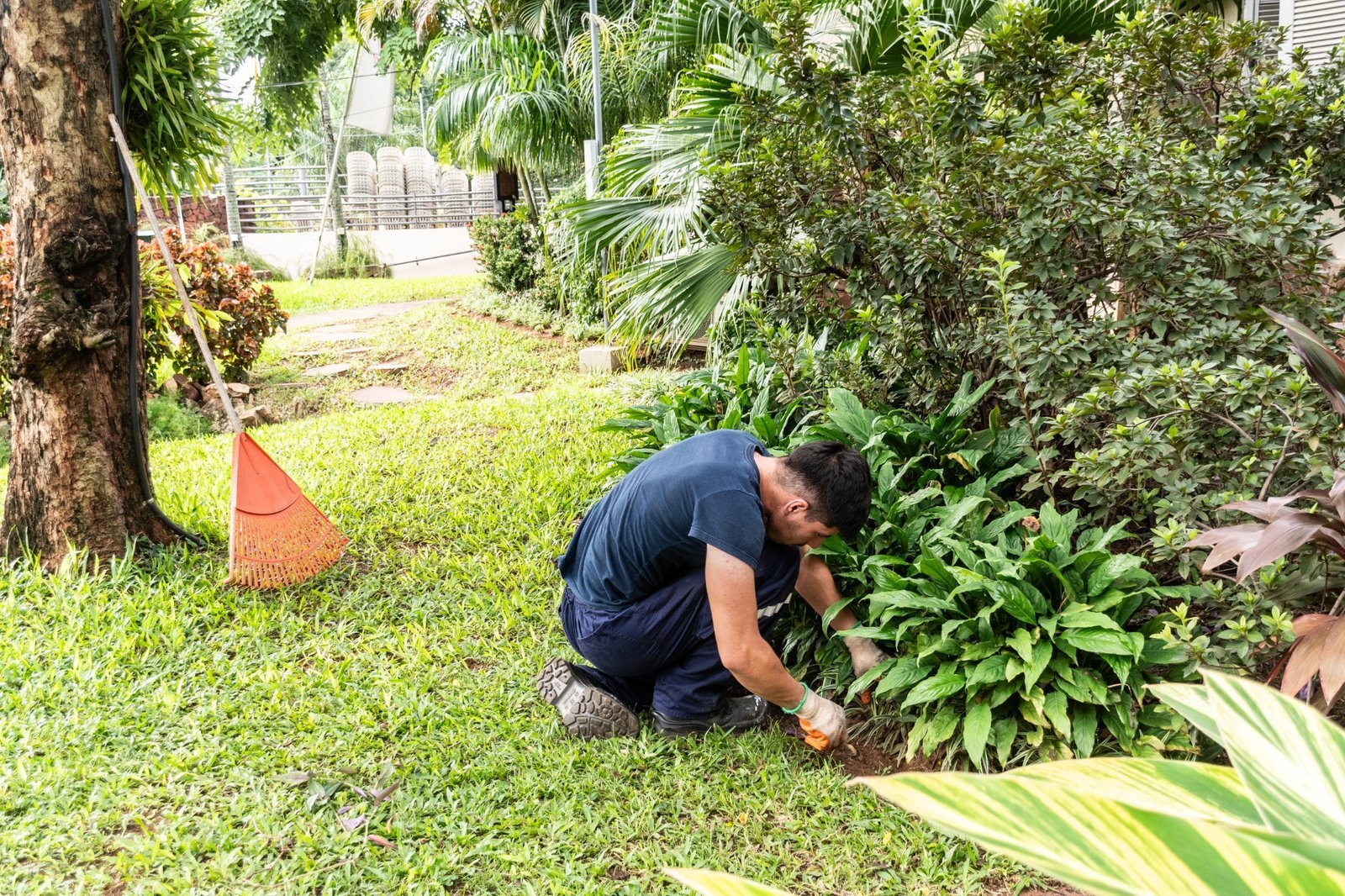 jardineria del santuario joven